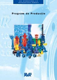 Program de Producţie - AVK