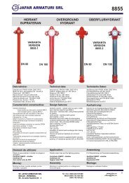 HIDRANT SUPRATERAN DN 80-DN 100 TIP 8855.cdr - Hidranti ...