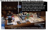 How to do the microscopic assay for Nosema ceranae: