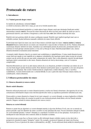 Protocoale de rutare - Profs.info.uaic.ro