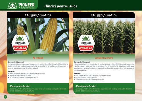 de porumb marca Pioneer - DuPont Pioneer Hi-Bred International ...