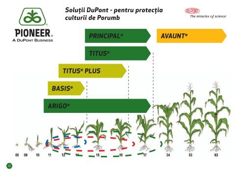 de porumb marca Pioneer - DuPont Pioneer Hi-Bred International ...