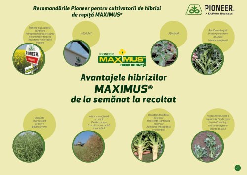 de porumb marca Pioneer - DuPont Pioneer Hi-Bred International ...