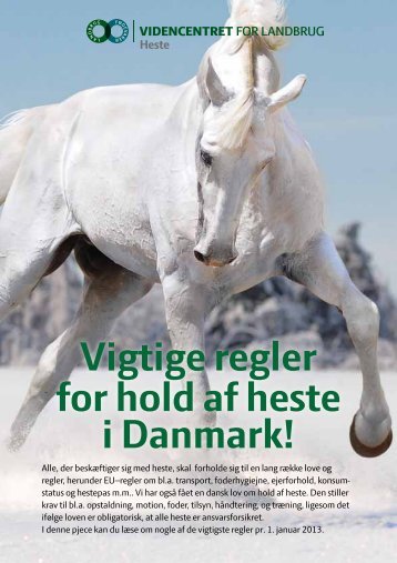 Vigtige regler for hold af heste i Danmark! - LandbrugsInfo
