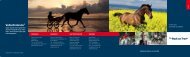 Download brochure hest - BOT-Shop