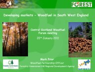 Developing Markets - Wood Energy Scotland