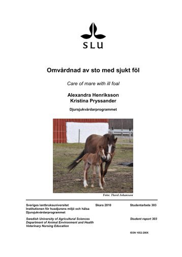 RAPPORTENS TITEL I HELVETICA 20 FET VERSALER - SLU