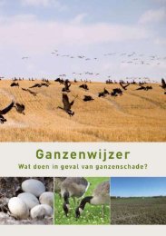 Brochure 'Ganzenwijzer - Wat doen in geval van ... - Invexo