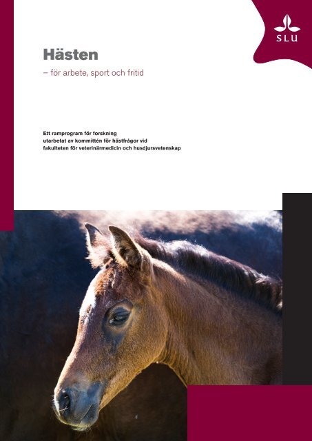 Hästen - för arbete, sport och fritid - SLU