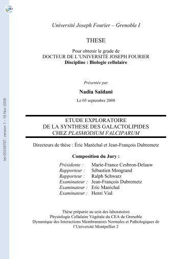 Etude exploratoire de la synthèse des galactolipides chez ...