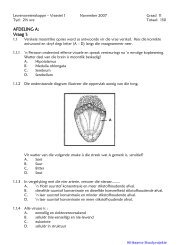 Gr11_LewensW_Vr1_Nov2007