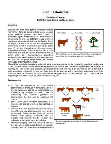 die gebruik van teelwaardes in die seleksie van beeste - Landbou.com