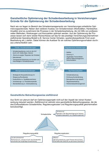Ganzheitliche Optimierung der Schadenbearbeitung in ... - Plenum.de