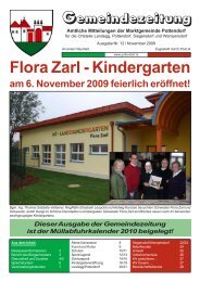 GZ Nr 12 November 2009 - Marktgemeinde Pottendorf