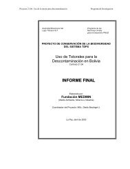 Uso de Totorales para la Descontaminación en Bolivia - ALT