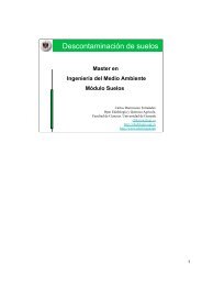 Descontaminación de suelos - Departamento de Edafología ...