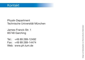 Download as PDF - Physik-Department TU München - TUM