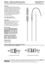 Mantel - Widerstandsthermometer Datenblatt 811