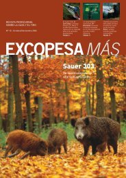 Sauer 303 - Excopesa