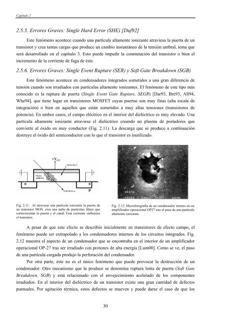 UNIVERSIDAD COMPLUTENSE DE MADRID