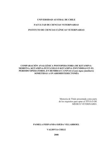 UNIVERSIDAD AUSTRAL DE CHILE - Tesis Electrónicas UACh ...