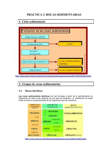 PRÁCTICA 3. ROCAS SEDIMENTARIAS 1. Ciclo sedimentario 2 ...