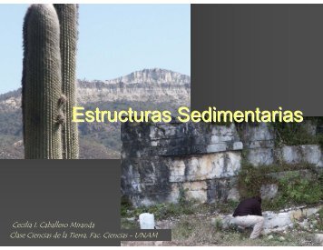 Estructuras Sedimentarias