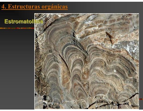 Estructuras Sedimentarias