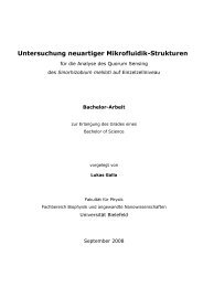 Untersuchung neuartiger Mikrofluidik-Strukturen - Fakultät für Physik ...