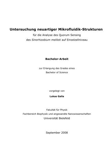 Untersuchung neuartiger Mikrofluidik-Strukturen - Fakultät für Physik ...