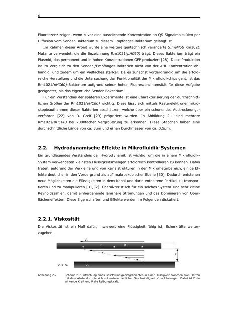 Untersuchung neuartiger Mikrofluidik-Strukturen - Fakultät für Physik ...