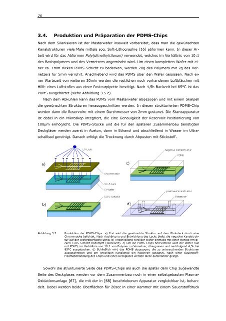 Untersuchung neuartiger Mikrofluidik-Strukturen - Fakultät für Physik ...