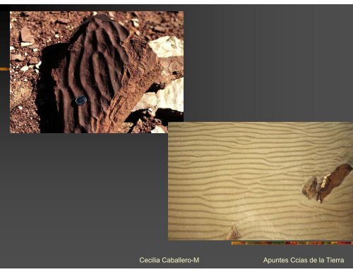 Estructuras Sedimentarias