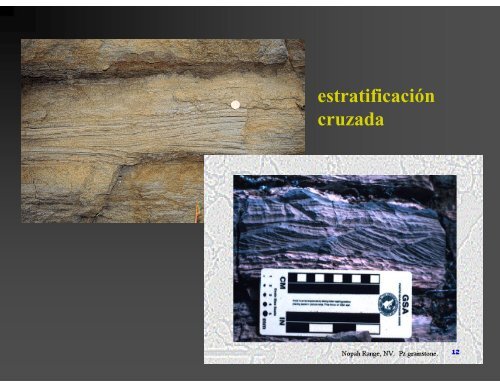 Estructuras Sedimentarias