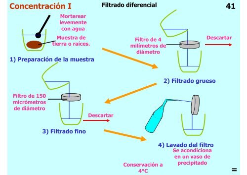 Teórica 10 - Nematodes - Departamento de Biodiversidad y Biología ...