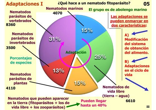 Teórica 10 - Nematodes - Departamento de Biodiversidad y Biología ...