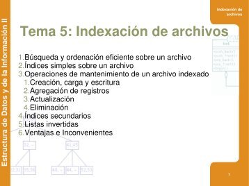 Tema 5: Indexación de archivos