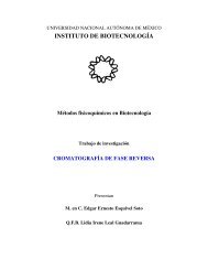 PDF - Instituto de Biotecnología - Universidad Nacional Autónoma ...