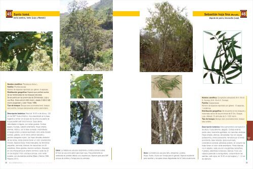 Bosques Secos - Ministerio del Ambiente