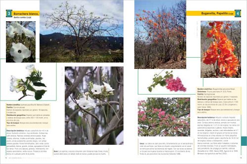 Bosques Secos - Ministerio del Ambiente