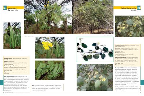 Bosques Secos - Ministerio del Ambiente