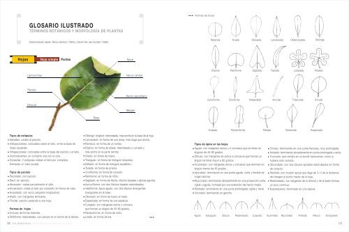 Bosques Secos - Ministerio del Ambiente