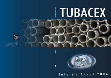 informe anual 2006 - Tubacex