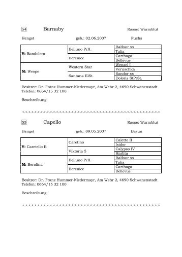 Katalog Warmblut.pdf - Pferdezucht-Austria
