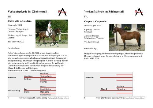 Download: Verkaufspferdefolder.pdf - Pferdezucht-Austria