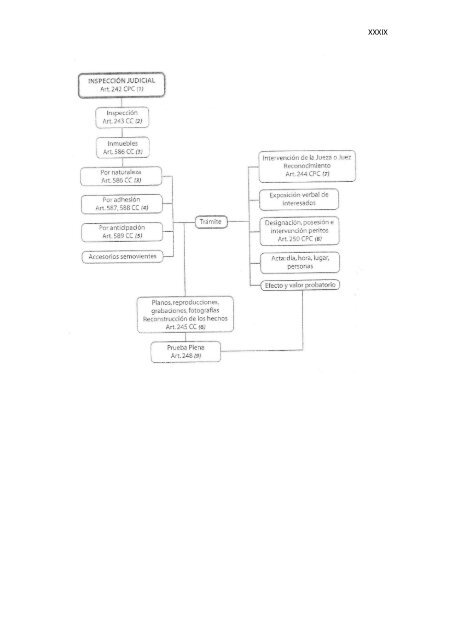 Régimen Jurídico del Derecho Particular y las Obligaciones en el ...