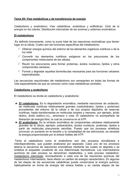 Cartilla BIOQUIMICA [Tomo II].pdf - Universidad Nacional de Salta