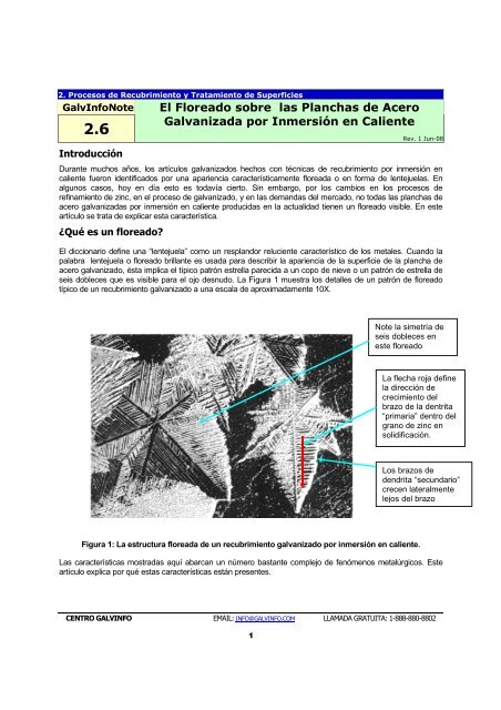 El Floreado sobre las Planchas de Acero Galvanizada por ... - Latiza