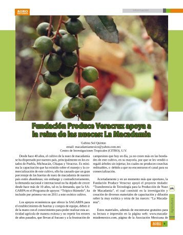 Fundación Produce Veracruz apoya a la reina de las nueces: La ...