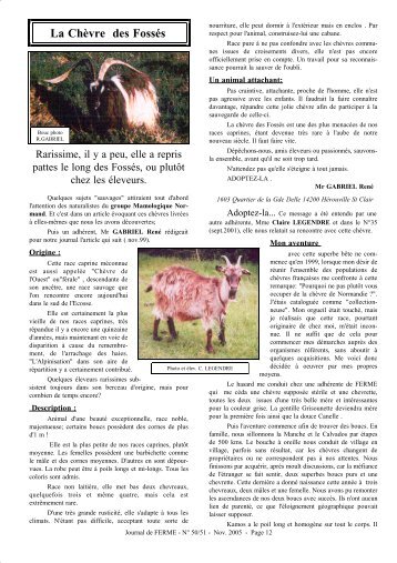 chèvre des Fossés - Sourire ferme